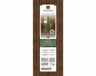 Everlands Alpbach fir - kunstkerstboom met verlichting groen 2,1m x 75cm