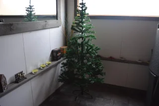 Fjesta© Groene kerstboom budget - 180cm