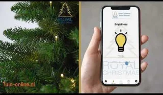 Royal Christmas - Kunstkerstbomen - Bergen Prelit - 180 cm - PE/PVC - 300 Led Lampjes - 763 Takken
