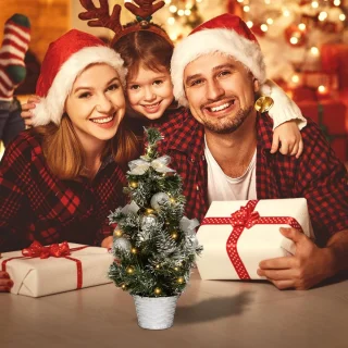 Kleine kerstboom - mini-kerstboom - kunstkerstboom 40 cm - met 20 ledlampen - dennenappels en kerstballen - voor thuis en kantoor - tafeldecoratie (zilver)