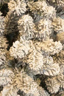 Black Box Kunstkerstboom Charlton - 127x127x215 cm - PVC - Besneeuwd,Groen