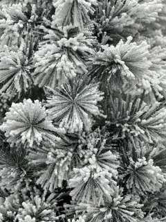 Kunstkerstboom met sneeuw