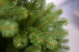 Bayberry kunstkerstboom - 183 cm - groen - Ø 122 cm - 1.005 tips - metalen voet