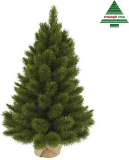 Triumph Tree Camden Kunstkerstboom in Jute - H60 x Ø43 cm - Groen