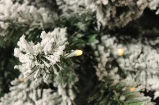 Memphis - Flock LED - Besneeuwde Kunstkerstboom - met warme LED verlichting - Besneeuwd- Lengte 150 cm - met geintegreerd 200 warm schijnende LED lampjes - Dimbaar - 410 takken - Smart Adapter