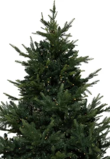 KJ Kunstkerstbomen Calgary Kunstkerstboom de luxe - 210 cm - met inclusief LED verlichting 460 led-lampjes - 3087 PE en PVC takken - Smart Adapter