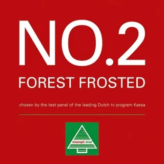 Triumph Tree Forest Frosted Kunstkerstboom Smal - H155 x Ø86 cm - Groen