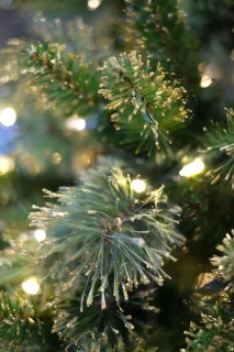 Shimmery Golden Bristle verlichte kunstkerstboom - 228 cm - Groen met goud - Ø122 cm - 1059 tips - 500 ledlampjes (warm wit) - Met glitters - Metalen voet