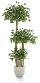 Kunstficus Decoratieve Kunstplanten en Bomen - Realistische Kunstboom 175 x 80 cm