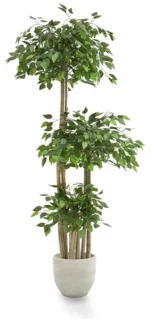 Kunstficus Decoratieve Kunstplanten en Bomen - Realistische Kunstboom 175 x 80 cm