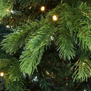 Premium Kerstboom Excellent Trees® LED Kalmar 210 cm met verlichting - 450 Lampjes - ⌀137cm - 210cm