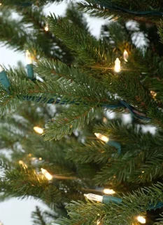 Göteborg verlichte kunstkerstboom - 228 cm - Donkergroen - Ø137 cm - 3059 tips - 600 ledlampjes (warm wit) - Houten voet