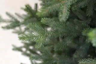 Göteborg verlichte kunstkerstboom - 228 cm - Donkergroen - Ø137 cm - 3059 tips - 600 ledlampjes (warm wit) - Houten voet