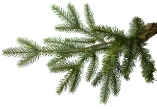 Göteborg verlichte kunstkerstboom - 228 cm - Donkergroen - Ø137 cm - 3059 tips - 600 ledlampjes (warm wit) - Houten voet