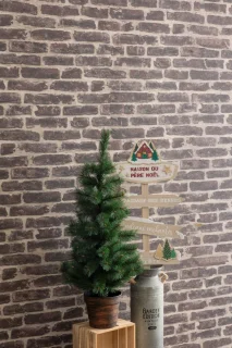 Fééric Lights and Christmas Kerstboom - Ø50xH100cm - Kerstdecoratie - Groen