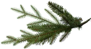 Arkansas kunstkerstboom - 228 cm - groen - Ø 150 cm - houten voet