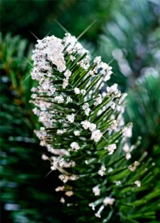 Diamant kunstkerstboom op stam 220 cm