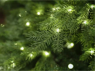 Everlands Grandis Fir Kunstkerstboom - 180 cm - 400 LED - 1564 Takken
