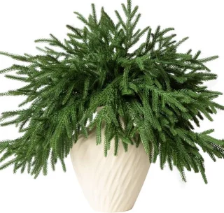 12x Kunstdennentakken 45 cm Groen