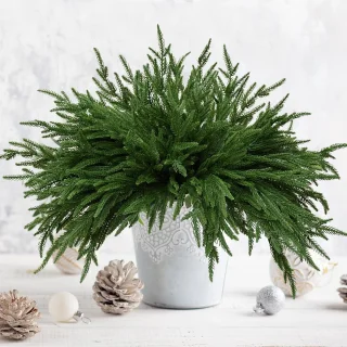 16x Kunstmatige dennentakken Kerst Groen