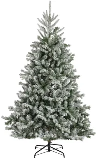 Alba Fir I