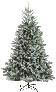 Alba Fir III