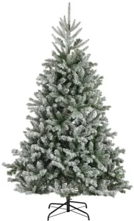 Alba Fir III