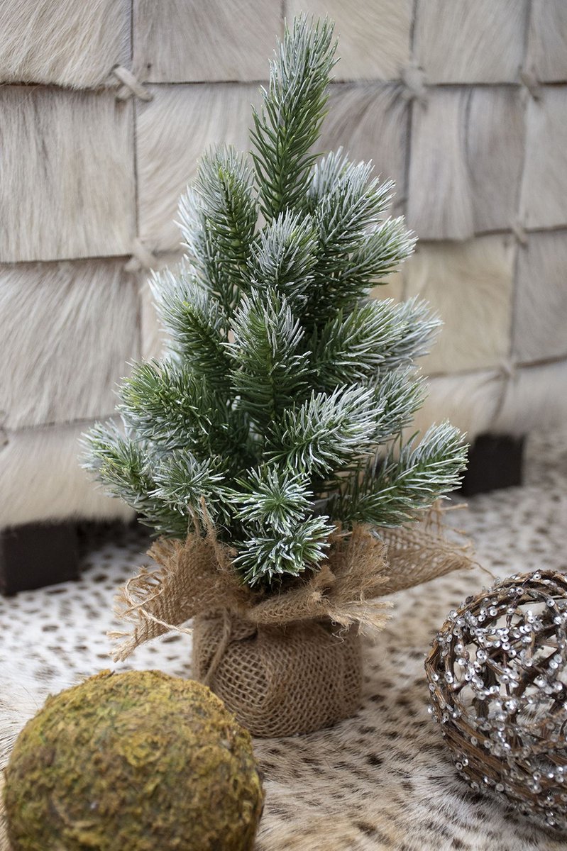 Alpha Frost tafelkerstboom 30 cm groen