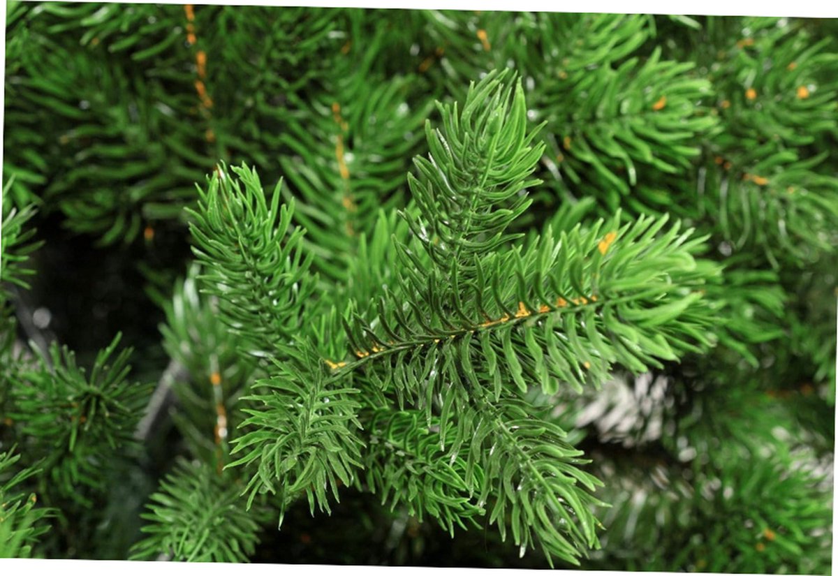 Altair Kunstkerstboom 65 cm Groen 62 Takken Met Standaard