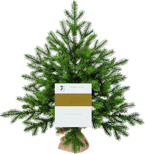 Altair Kunstkerstboom 65 cm Groen 62 Takken Met Standaard