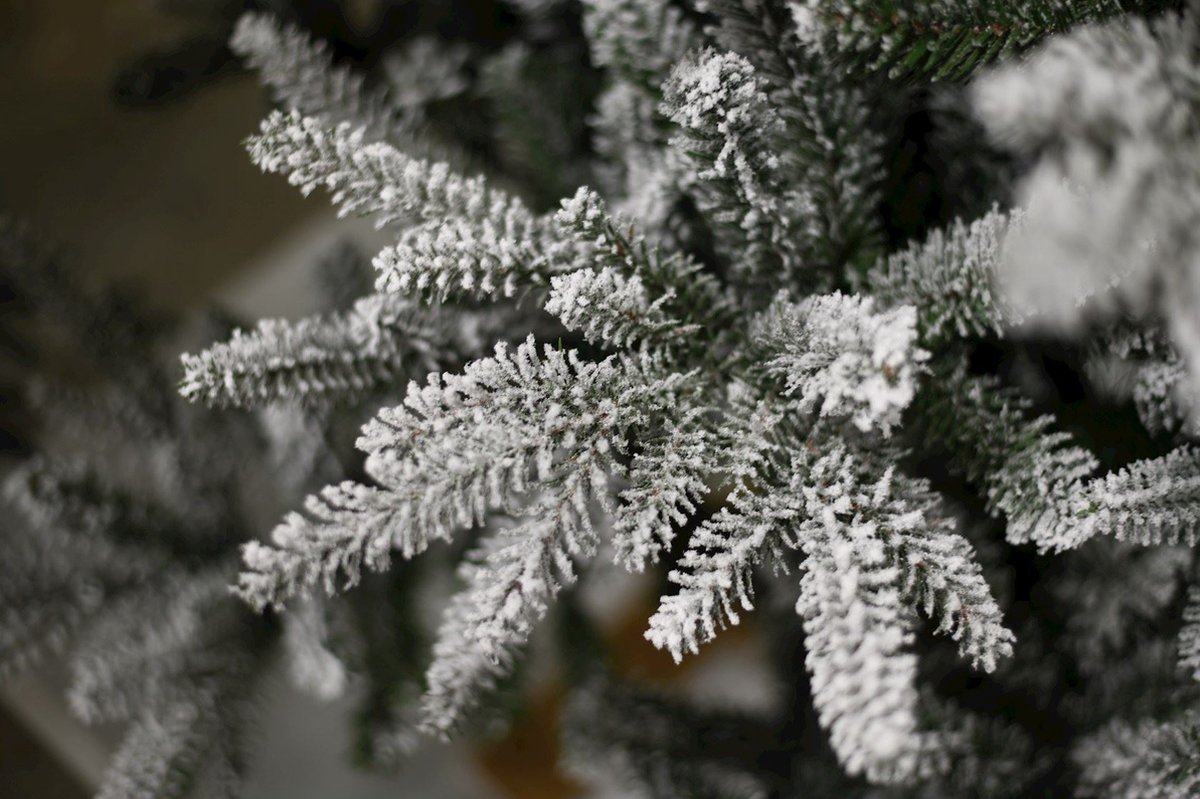 Andorra Flocked kunstkerstboom 228 cm wit met metalen voet