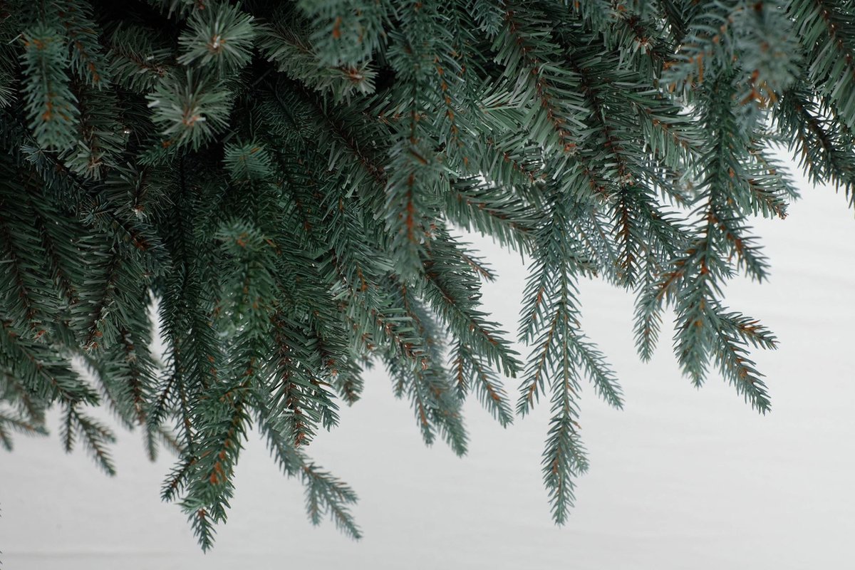 Arkansas Frosted Blue kunstkerstboom 152 cm blauw