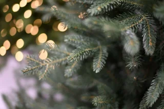 Arkansas Frosted Blue kunstkerstboom