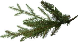 Wat vinden we minder goed