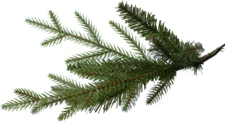 Arkansas kunstkerstboom 152 cm