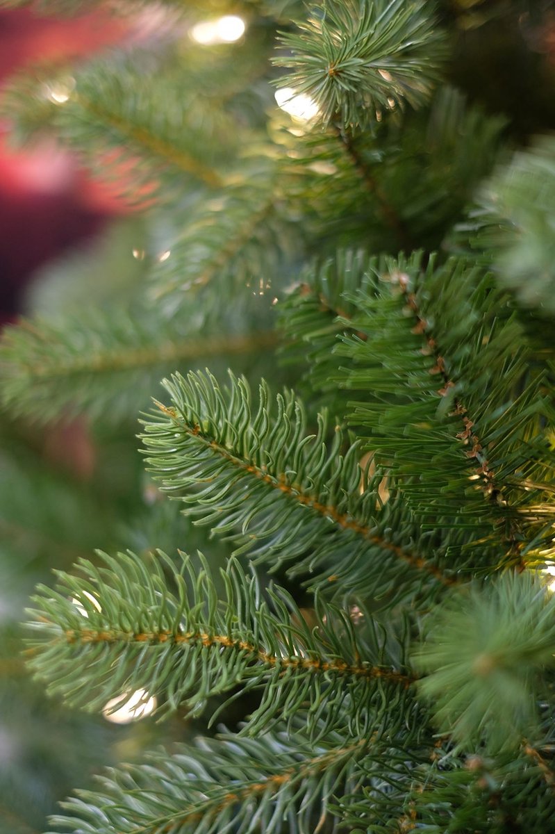 Bayberry kunstkerstboom 274 cm groen