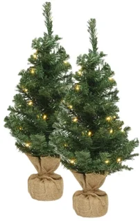 Bellatio Decorations Mini kerstboom set van 2 H45 cm