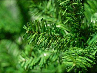 Bellatio Everlands Kunstkerstboom 210 cm Groen