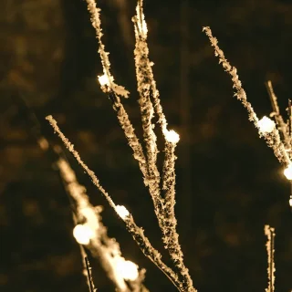 Berkenboom 160cm Bruin met 144 LED Lights Classic Warm