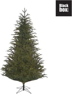 Black Box Frasier Fir Kunstkerstboom 230x147 cm