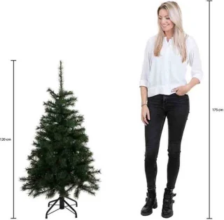 Black Box Frasier Fir Kunstkerstboom 230x147 cm