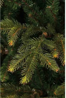Black Box Frasier Fir Kunstkerstboom 230x147 cm