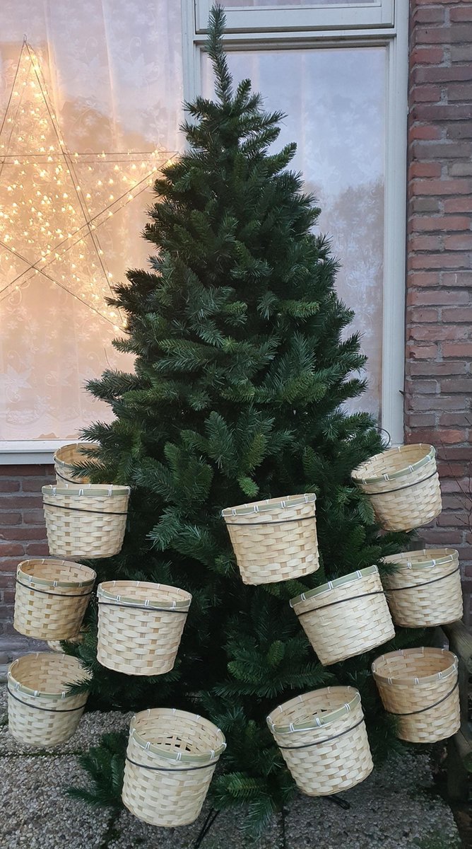 Black Box Kerstboom de Luxe H240 x D120