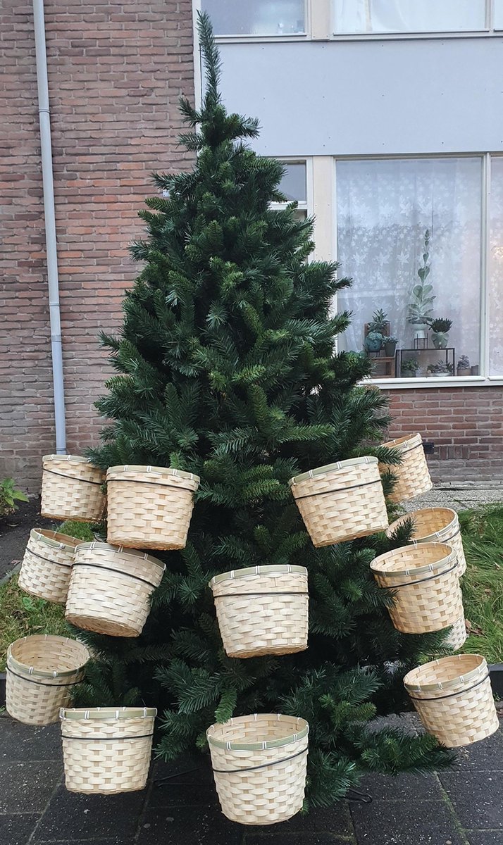 Black Box Kerstboom de Luxe H240 x D120
