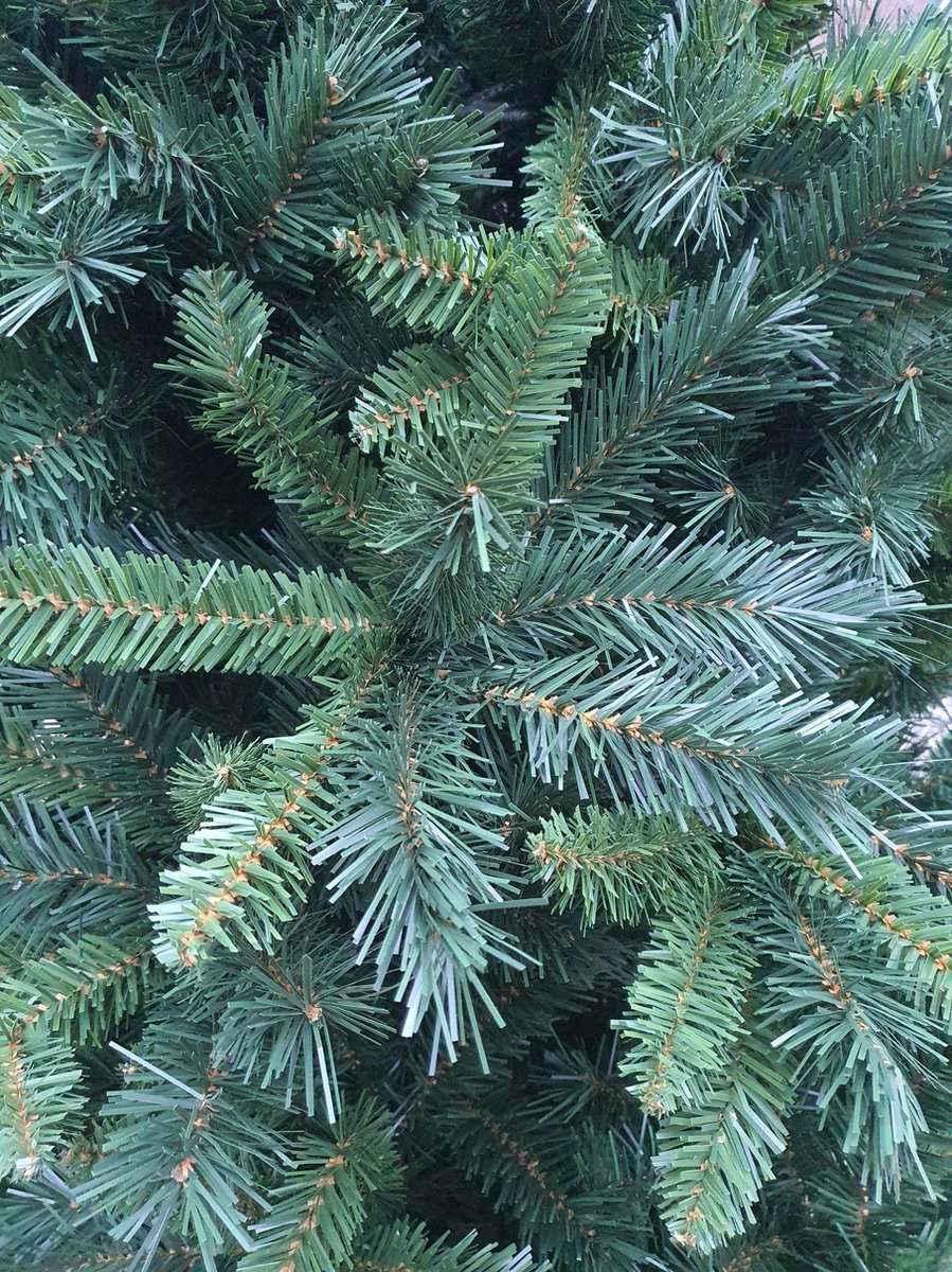 Black Box Kerstboom de Luxe H240 x D120
