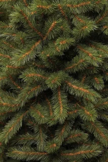 Black Box Kingston Kunstkerstboom H185 cm Groen