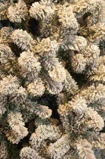 Black Box Kunstkerstboom Charlton