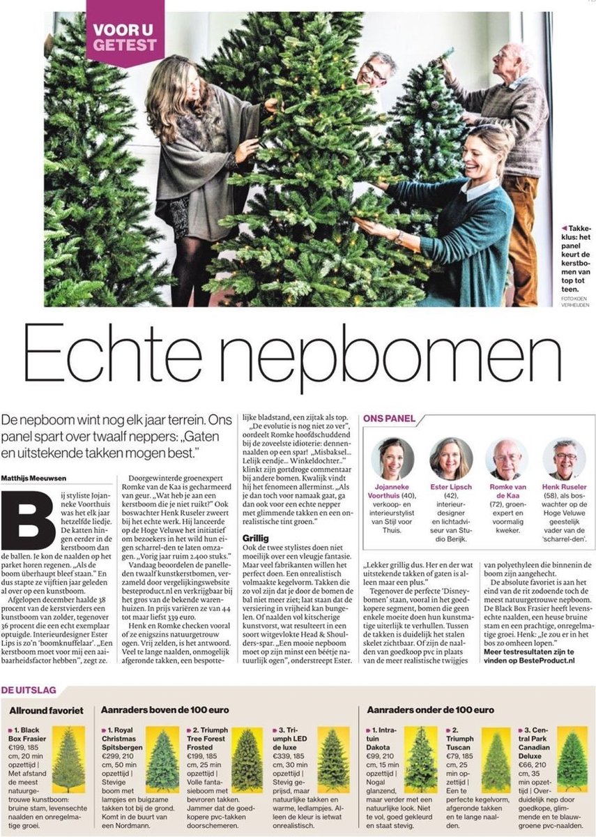 Black Box kunstkerstboom Frasier Fir 185 cm blauw groen