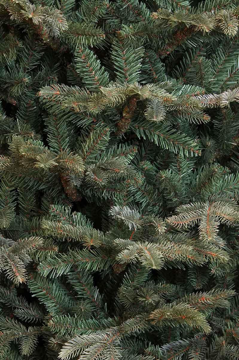 Black Box kunstkerstboom Frasier Fir 185 cm blauw groen