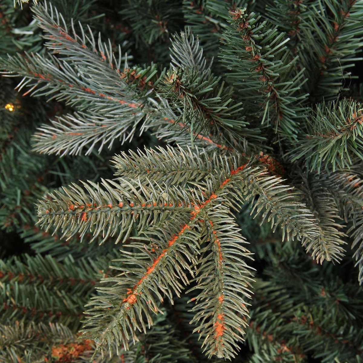Black Box kunstkerstboom Frasier Fir 185 cm blauw groen